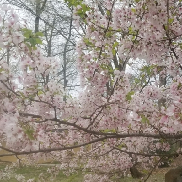 Party Host, C - Picture 3 of 4